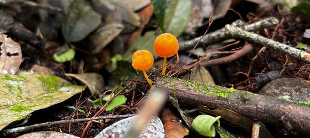 Excursion à Barbas Bremen