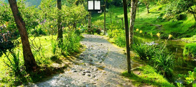 Escursione privata alle terme di Santa Rosa de Cabal