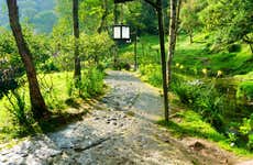 Santa Rosa de Cabal Hot Springs Private Day Trip