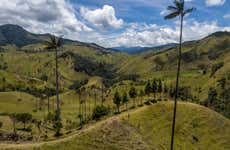 Excursion privée dans la vallée de Cocora + Balade à cheval