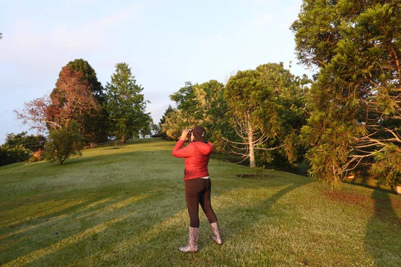 Bird-watching in Filandia