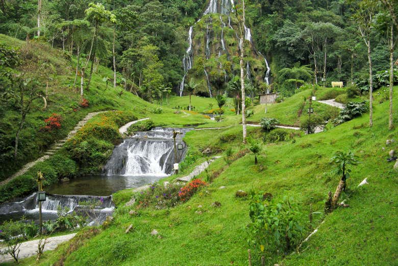 La rigogliosa vegetazione delle terme