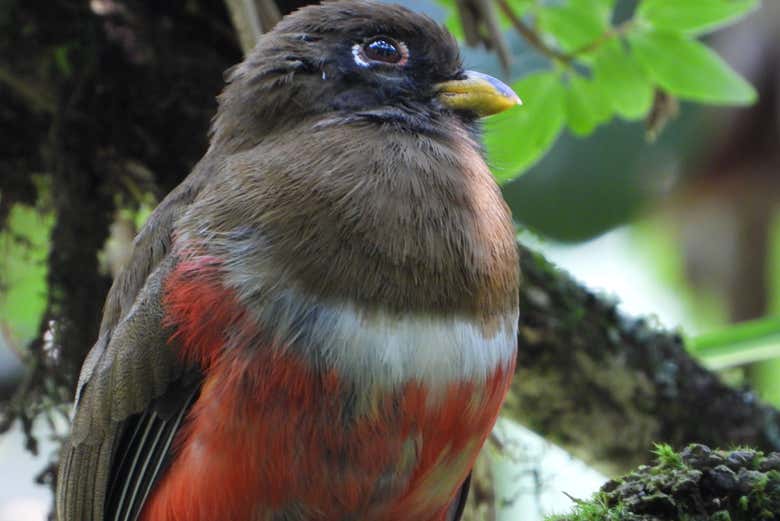 We'll enjoy numerous species of birds