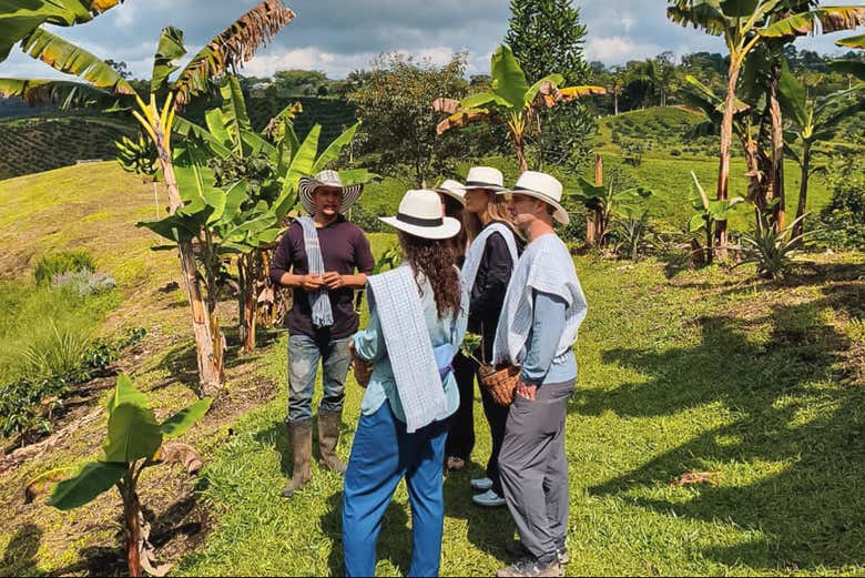 Admirando los cultivos de Casa Laureles
