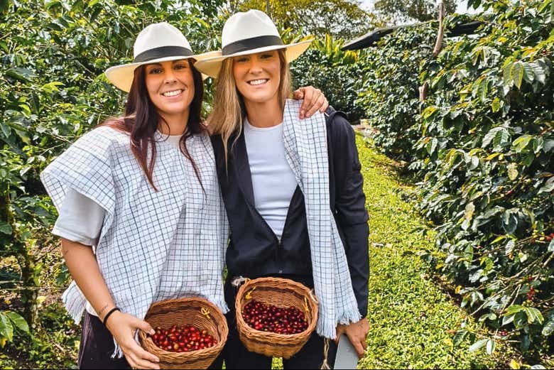 Recolectando los granos de café