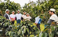 Visita a la finca cafetera Casa Laureles