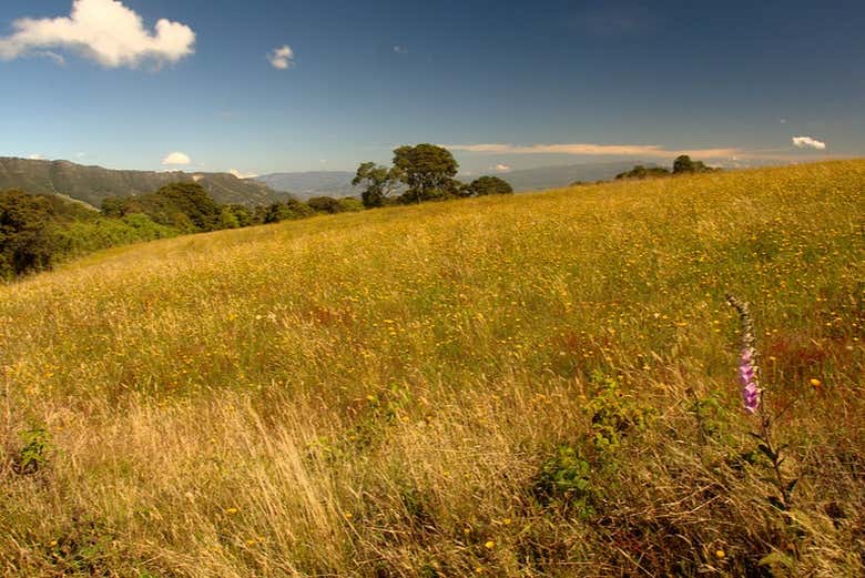 Randonnée dans Fúquene 