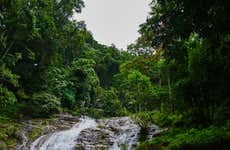Excursión a las cascadas del cañón del río Guatapé