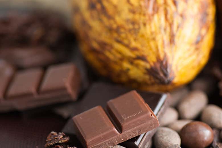 Discover how chocolate is made
