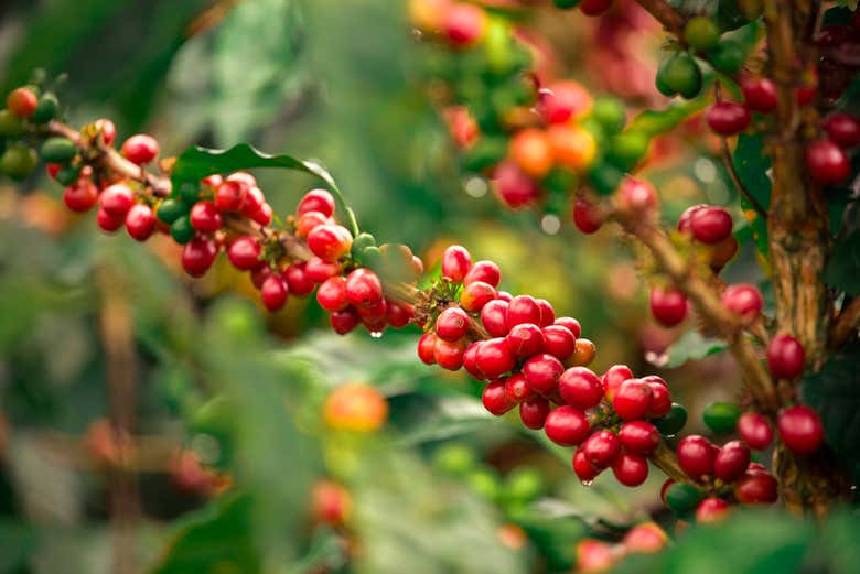 You'll love this tour!