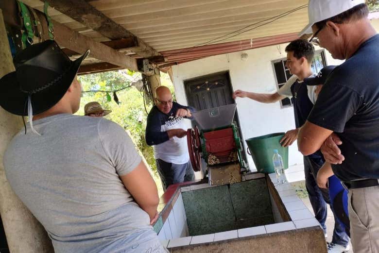 Learn the specifics between different beans