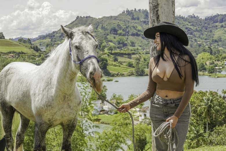 Un caballo en la finca La Manuela