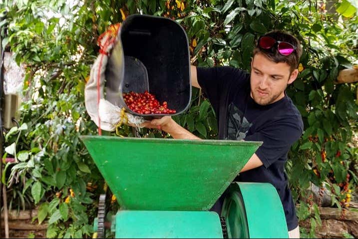 See how coffee is made into grounds