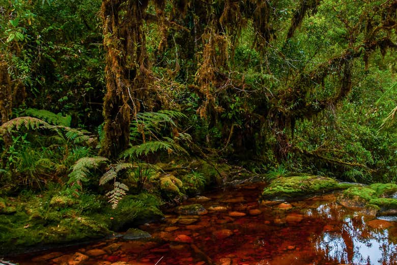 Paesaggi naturali intorno alle grotte