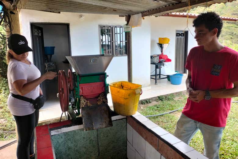 Observez le processus de fabrication du café