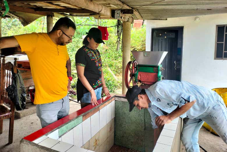 Examen des fèves de café