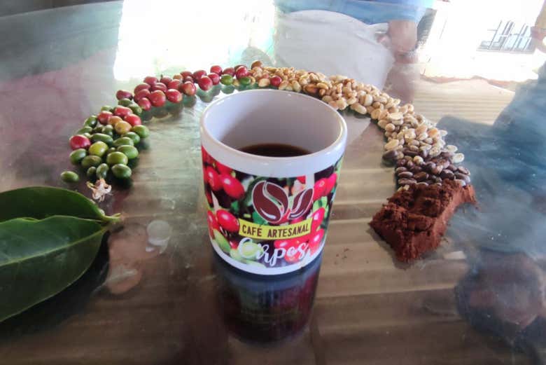 Savor the robust flavors of COlombian coffee