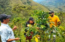 Tour del caffè a San Rafael