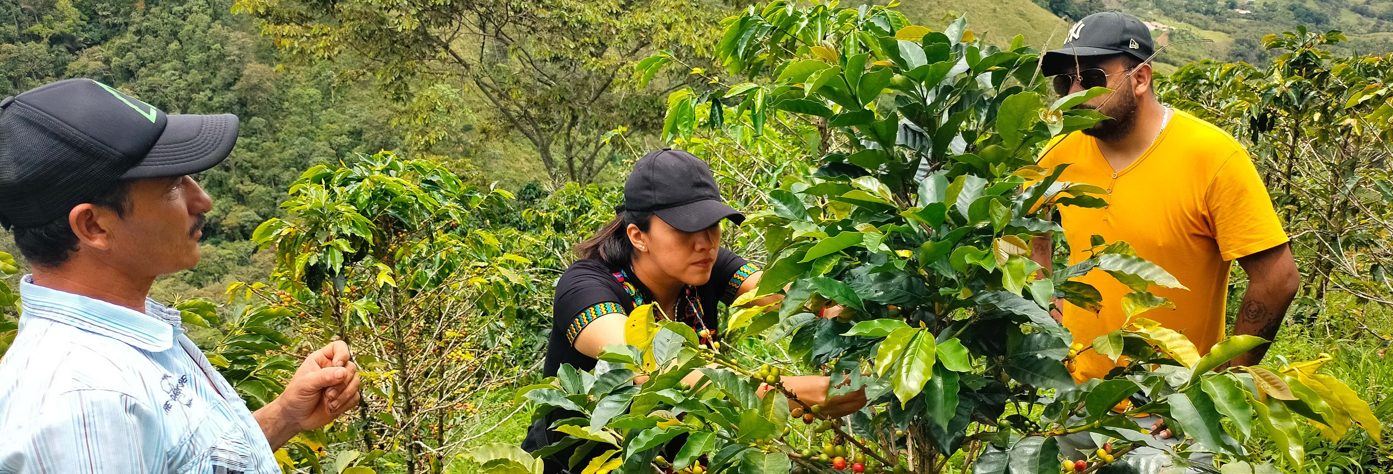 Gastronomía y enoturismo en Guatapé