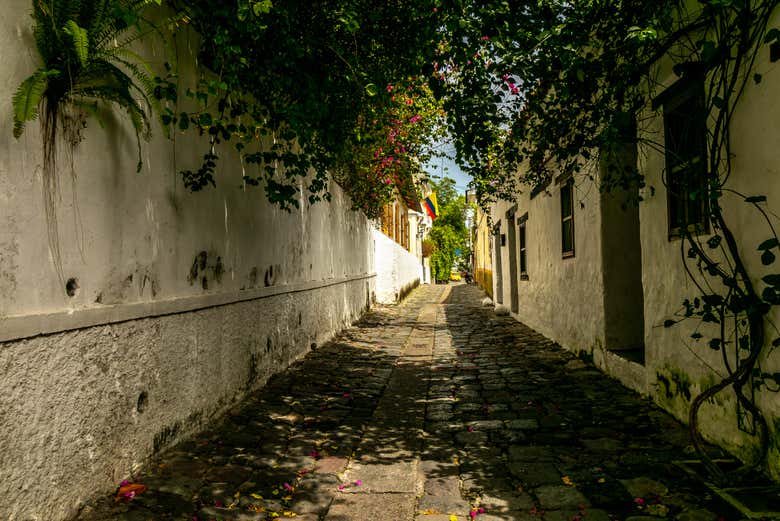 Explorando sinuosos callejones