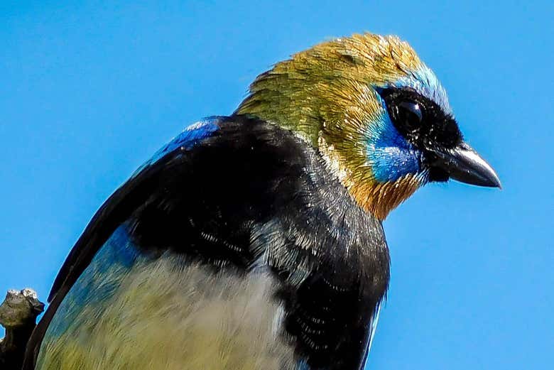 ¡Será una experiencia increíble!