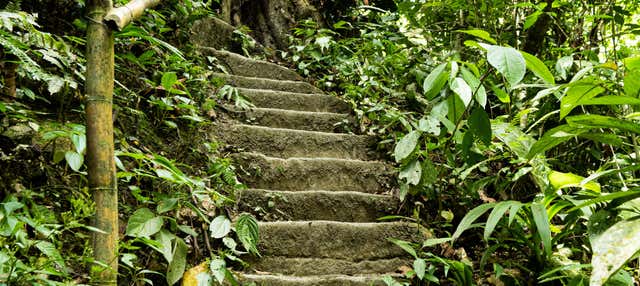 Excursion to the Lost City of Falan