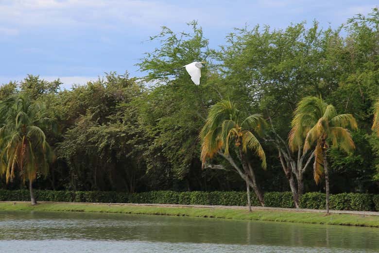 Entorno natural del parque Amanecer de los Venados