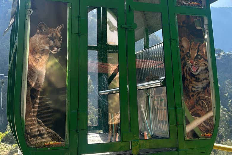 Detalles de la cabina del teleférico