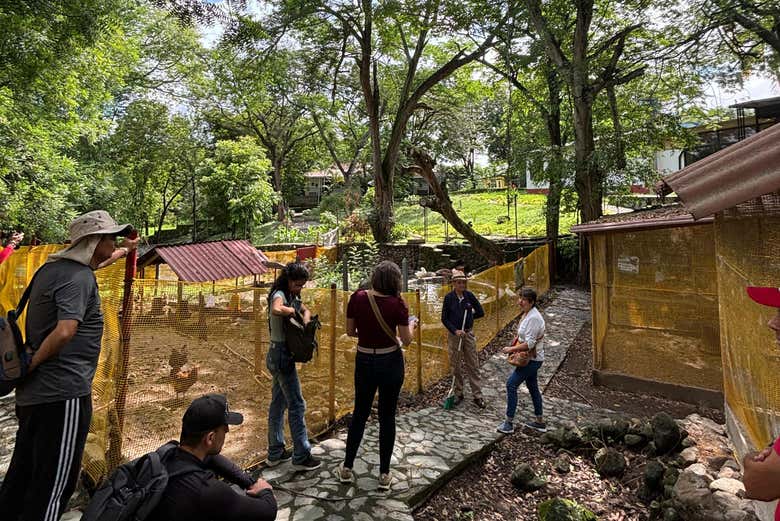 Durante l'escursione al Parco nazionale del Riso