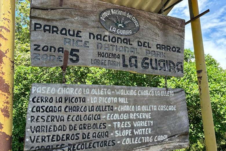 Scopriremo i segreti del riso