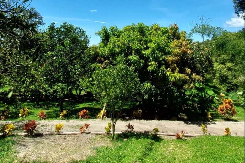 Senderos en el parque