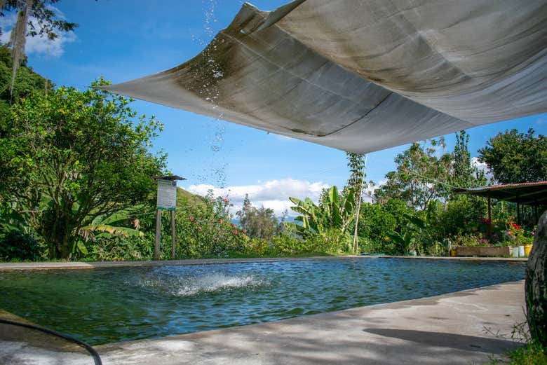 Piscina de los baños termales