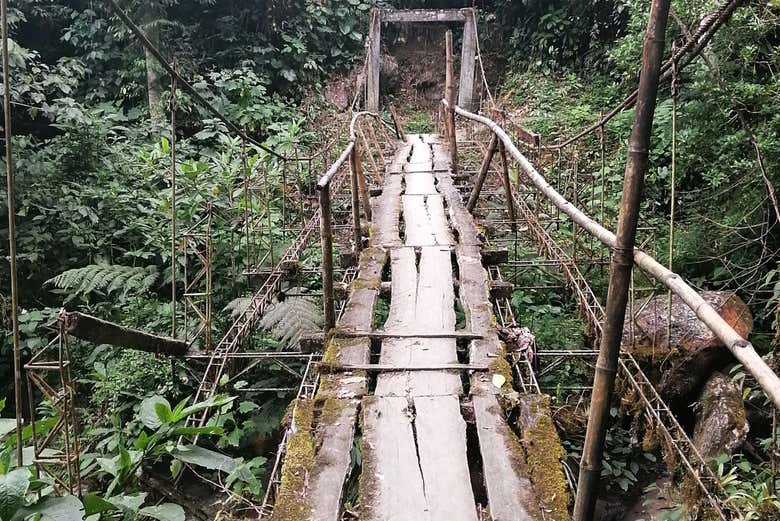 Puente en el sendero