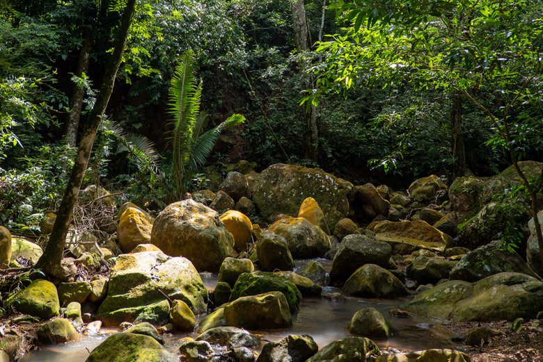 Immerse yourself in the nature of the Hacienda Castilla