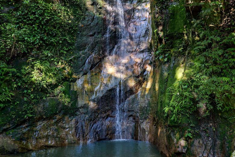 Fall in love with this tour