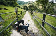 Trekking al Canyon del Combeima e Casa Loma