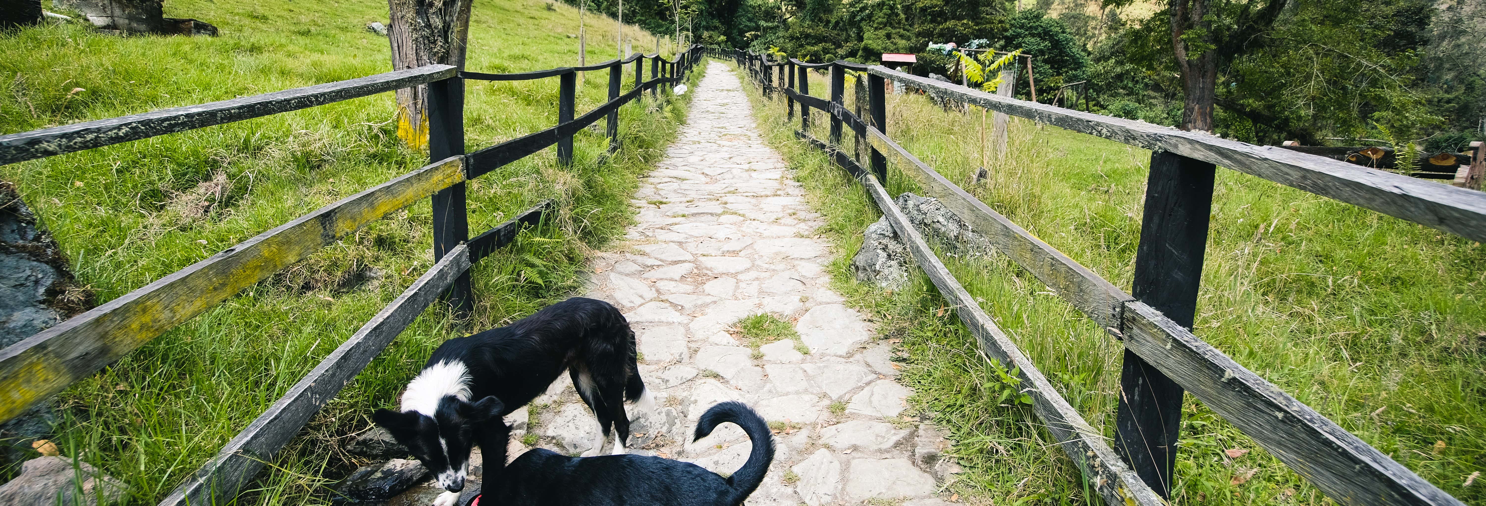 Senderismo / Trekking en Ibagué