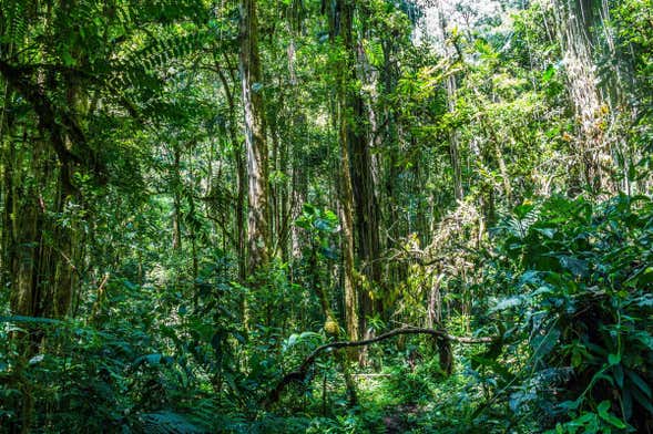 Entreaguas Natural Reserve Day Trip