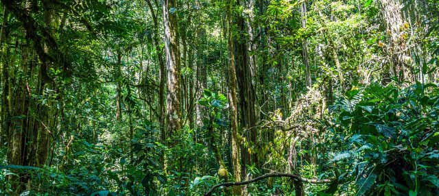 Excursion dans la Réserve Naturelle d'Entreaguas