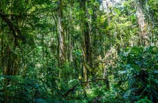 Excursão à Reserva Natural Entreaguas