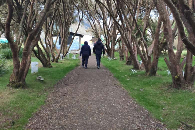 Excursión a la laguna de Cumbal desde Ipiales