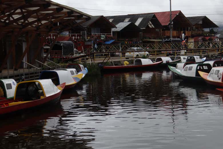 Vereda de la laguna de la Cocha
