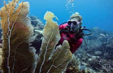 Isla Fuerte Beginner's Scuba Diving