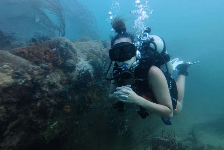 Explorando la biodiversidad del fondo marino