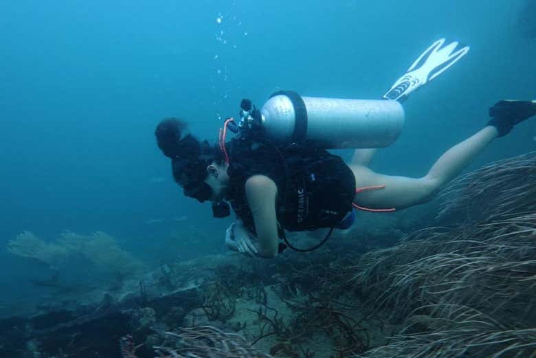 Descubriendo el mundo submarino