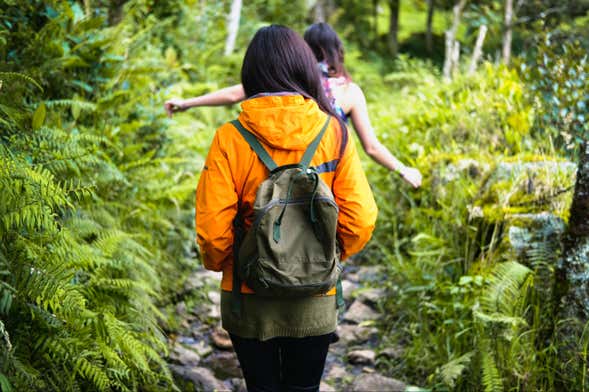 La Herrera & Serranias Trail Hike
