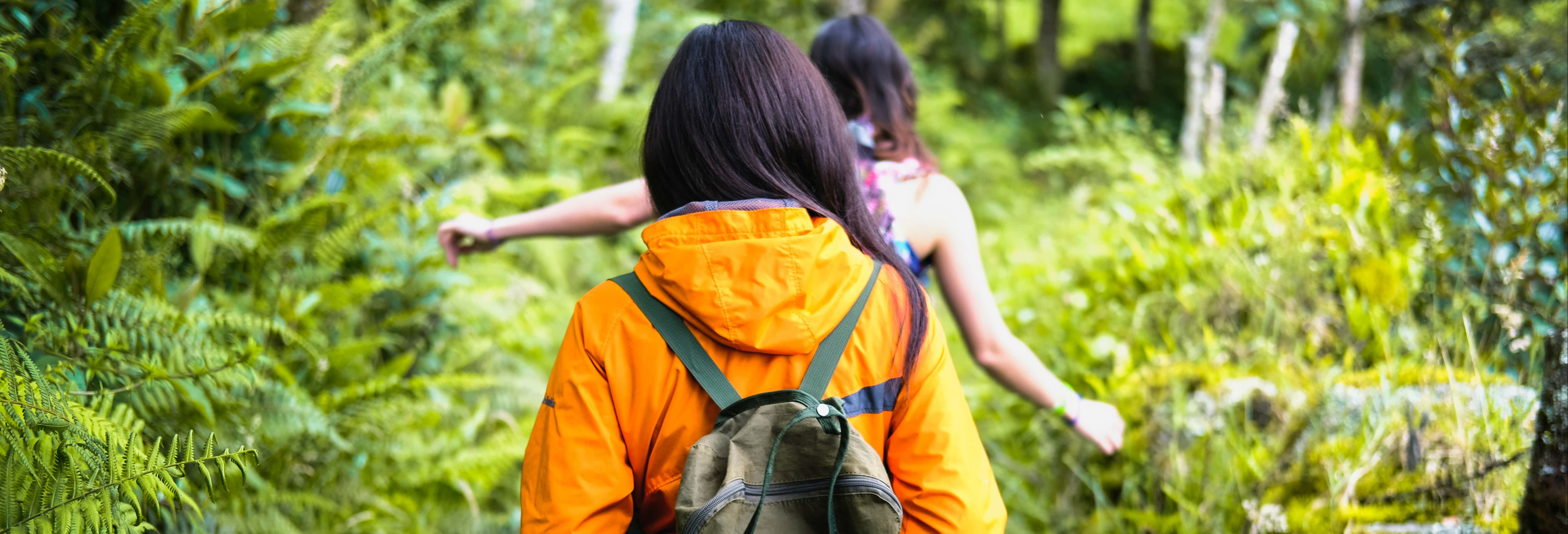 Excursões de um dia em Jardín