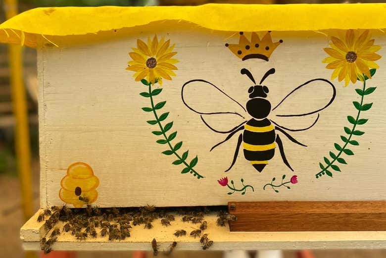 Você descobrirá todos os segredos das abelhas