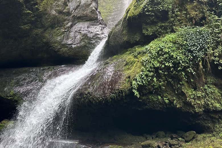 Ruta en plena naturaleza