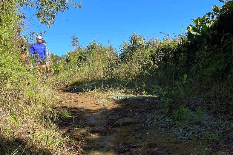 Caminaremos por la naturaleza